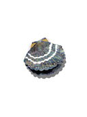 Hand-painted Seashell Claw Hair Clip | Eco-Friendly: Blue Mosaic