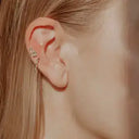Ear Seed Kit: Gold