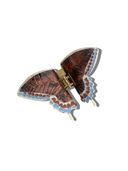 Hand-painted Swallowtail Butterfly Claw Hair Clip: Brown