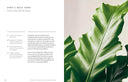 The Healing Power of Plants By Fran Bailey