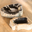 Petrified Wood Bowl - Small