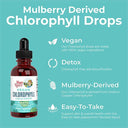 Vegan Peppermint Chlorophyll Liquid Drops|Dietary Supplement