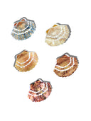 Hand-painted Seashell Claw Hair Clip | Eco-Friendly: Golden Sand