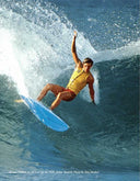 Surfer Stories by Claudia Lebenthal: Hardcover; 270 pages / English