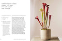 The Healing Power of Plants By Fran Bailey